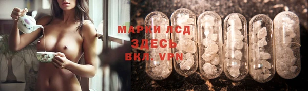 apvp Белокуриха